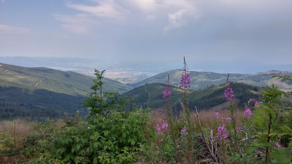 Pod Klimczokiem I Bed & Breakfast Щирк Екстериор снимка