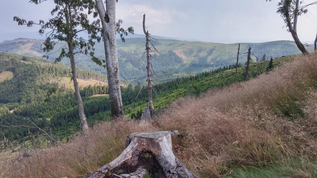 Pod Klimczokiem I Bed & Breakfast Щирк Екстериор снимка